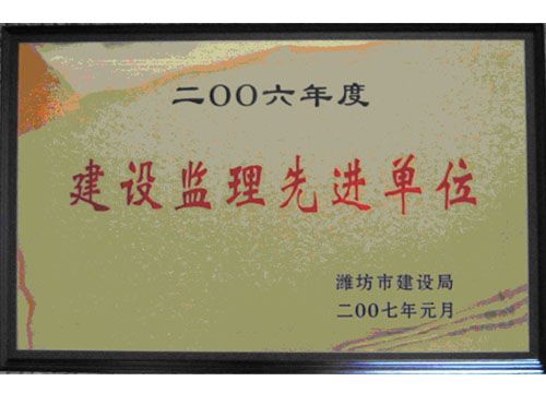 点击查看详细信息<br>标题：2006年度建设监理先进单位 阅读次数：4778