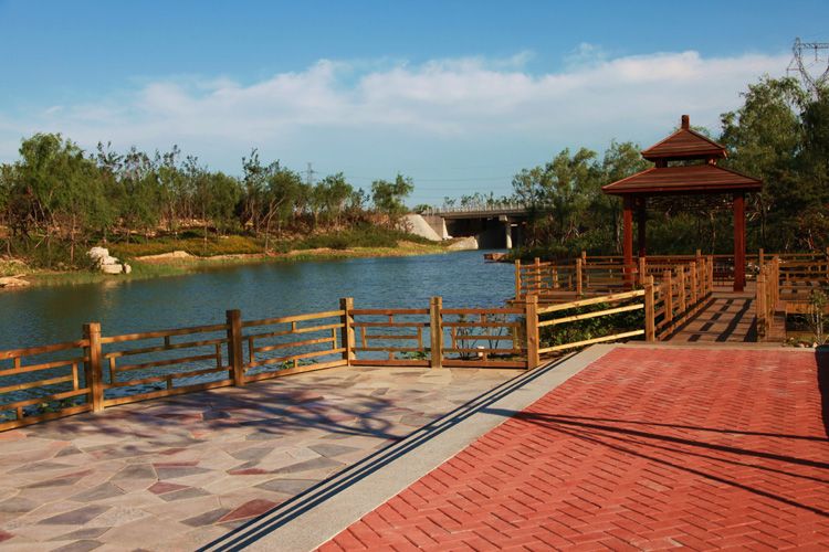 点击查看详细信息<br>标题：潍坊浞河景观 阅读次数：11677