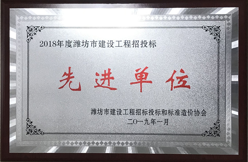点击查看详细信息<br>标题：2018年度招标代理先进单位 阅读次数：1915